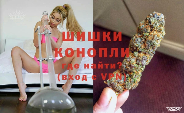 СК Гусь-Хрустальный