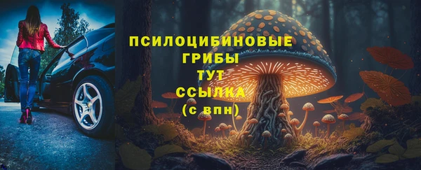 марки lsd Гусев
