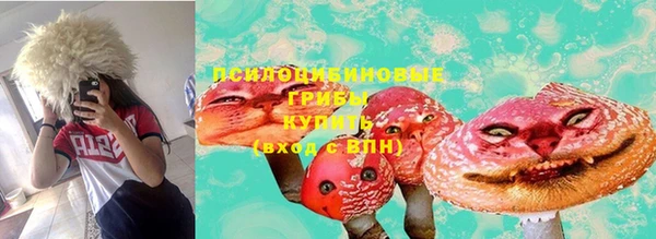 СК Гусь-Хрустальный