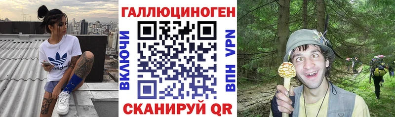 Псилоцибиновые грибы MAGIC MUSHROOMS  где продают наркотики  нарко площадка состав  Артём 